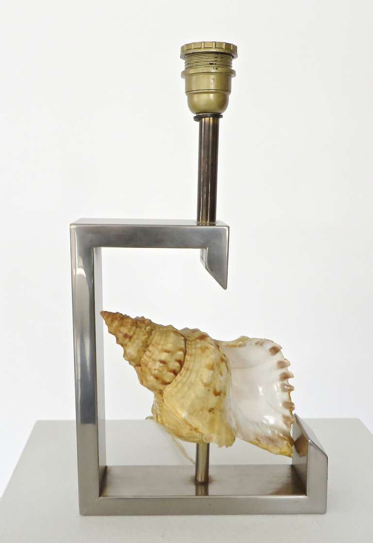 Mid-Century Modern French Table Lamp with Real Seashell Surrounded by Nickel Chrome Frame For Sale