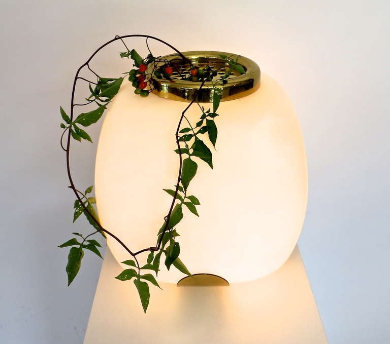 Italienische Tischlampe aus undurchsichtigem Glas und Messing mit Picque-Fleur von Arteluce (Mitte des 20. Jahrhunderts) im Angebot