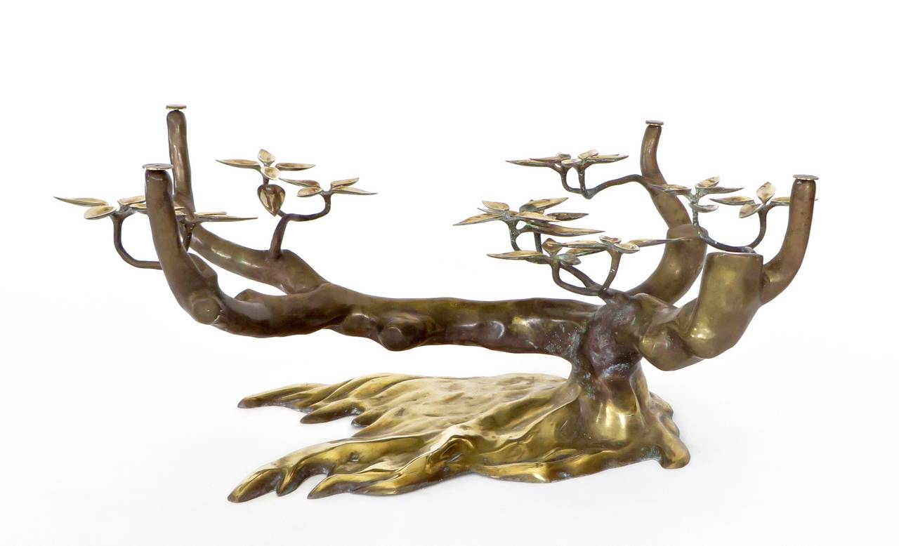 Patinated Bronze and Brass Bonsai Coffee Table with Glass Plateau by Willy Daro