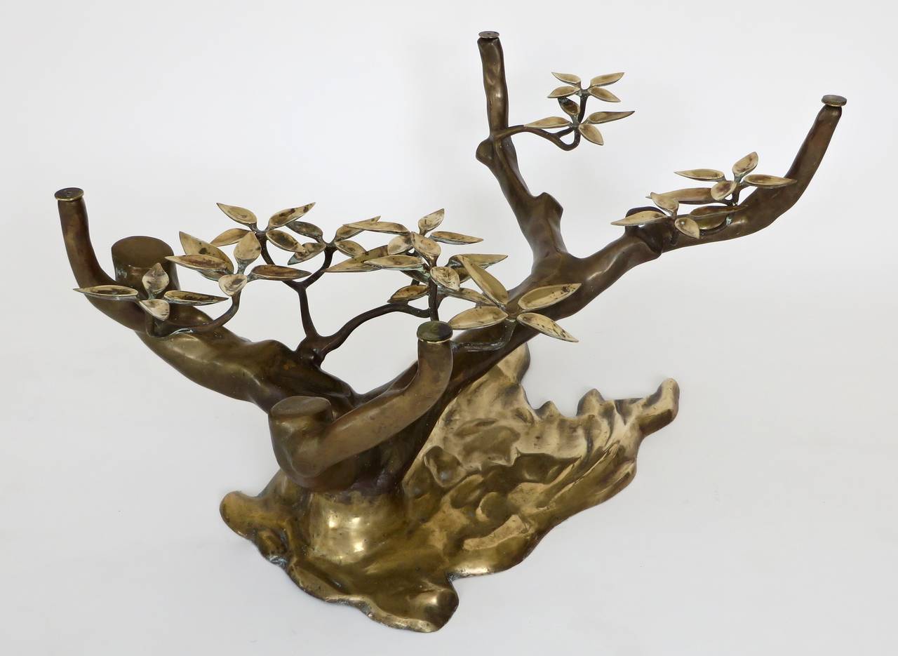 Late 20th Century Bronze and Brass Bonsai Coffee Table with Glass Plateau by Willy Daro