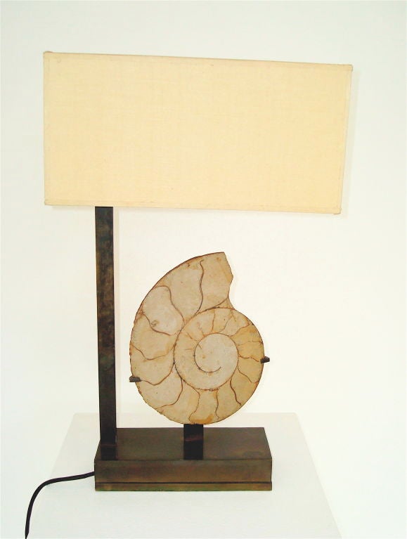 Nautilus Fossil and Bronze Table Lamp
