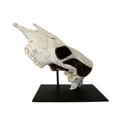 Gilded Skull Sculpture