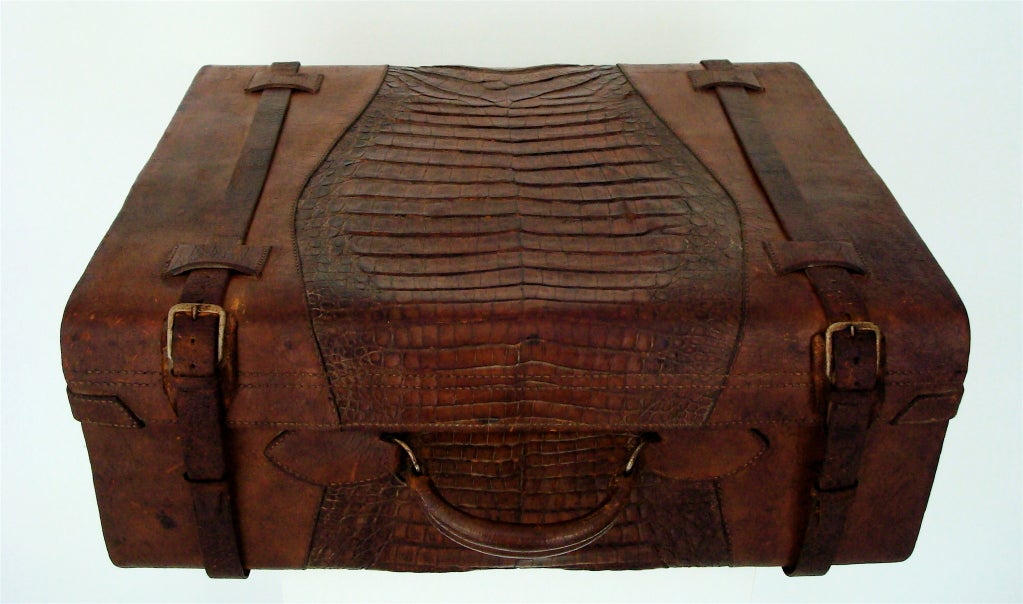 Alligator and Leather Suitcase 2