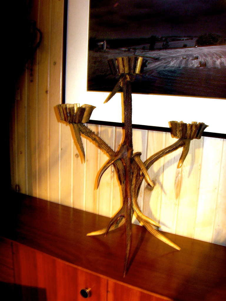 Candelabro a tre bracci in corno di Black Forest.