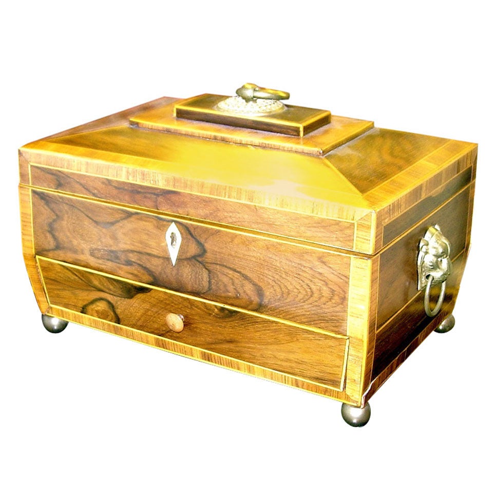 Regency Rosewood Tea Caddy with Drawer