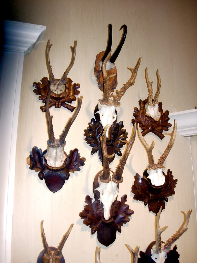 Exceptional collection of early roe mounts on Black Forest plaques.  Priced per mount, mesurements may vary