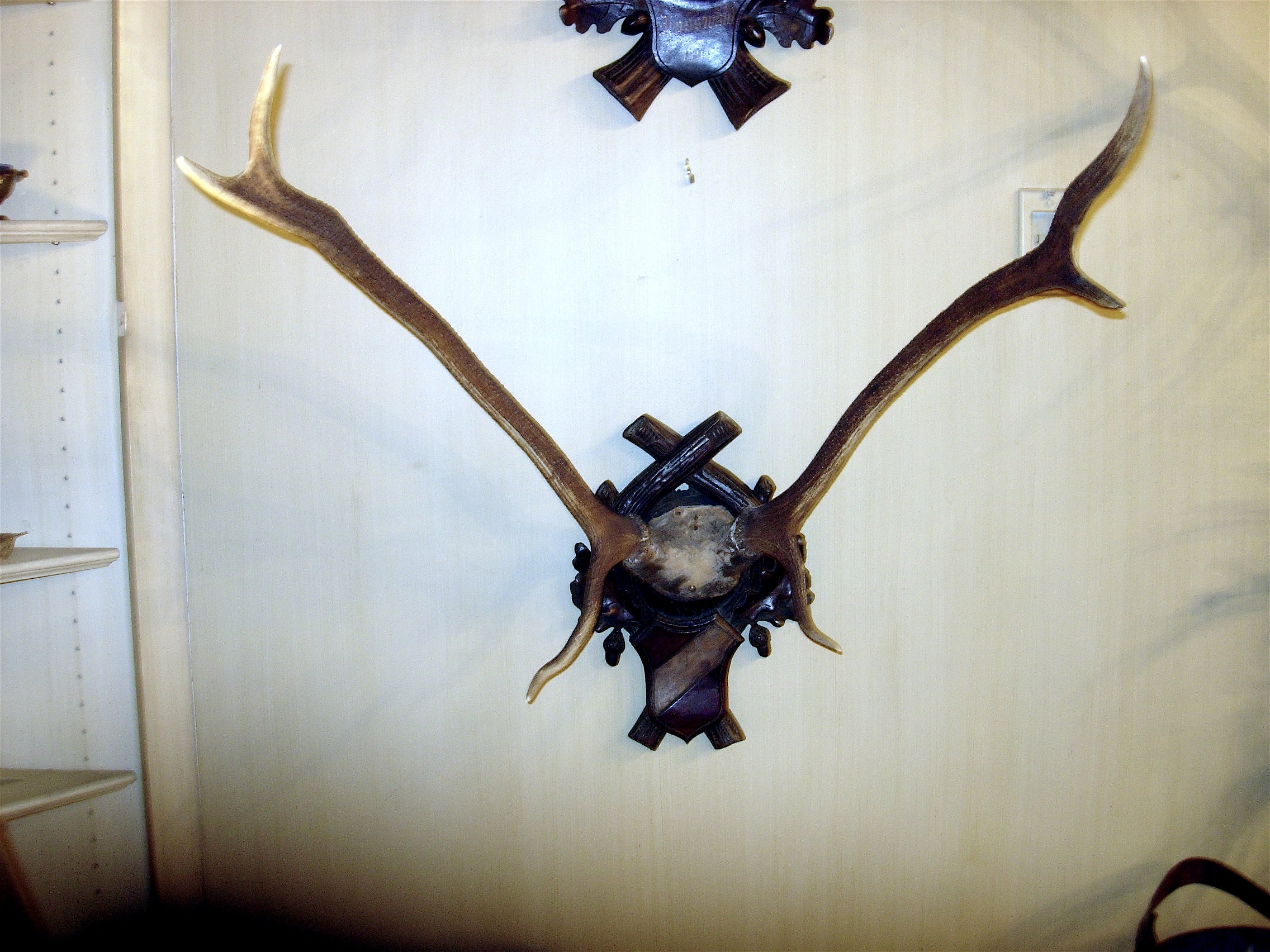 Monumental Black Forest Stag Antler Mount on Carved Wood Plaque at 1stDibs