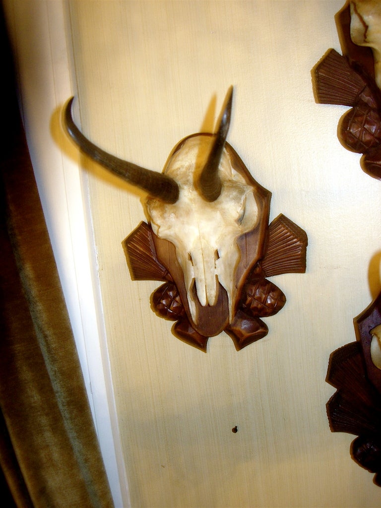 Collection of Four Black Forest Chamois Mounts of Carved Wood Plaques Priced per In Excellent Condition For Sale In Buchanan, MI