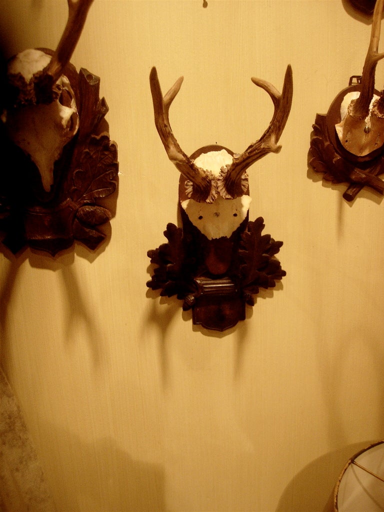 Allemand Collection de cinq montures de cordes de la Forêt-Noire sur plaques de bois sculpté Prix par mou en vente