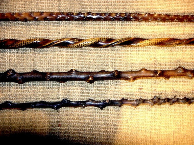 19th Century Collection Of English Walking Sticks