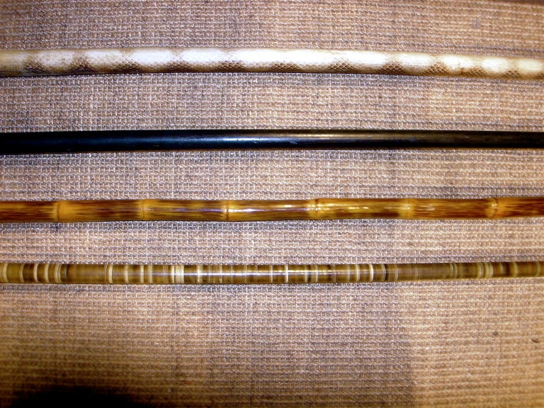 British Collection Of English Walking Sticks