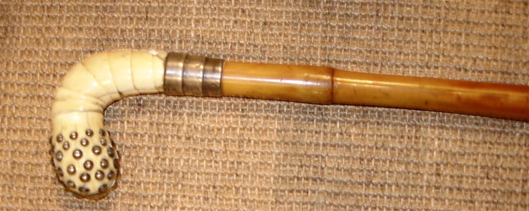 19th Century English Walking Stick With Ivory Handle