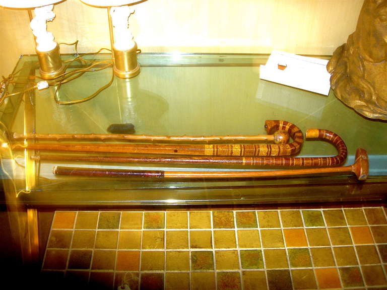 Collection Of English Walking Sticks Including A English Golfing Wood Driver.
