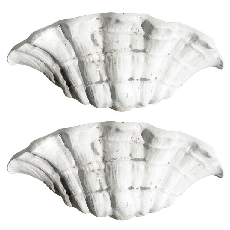 One Pair Shell Form Sconces after Serge Roche.  Nicely Done