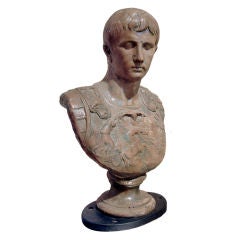 Italian Terricota Bust, Great Scale