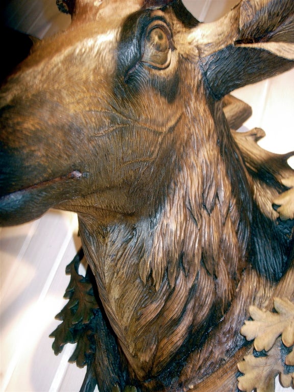 German Exceptional Black Forest Carved Wood Deer Head With Antler Mount