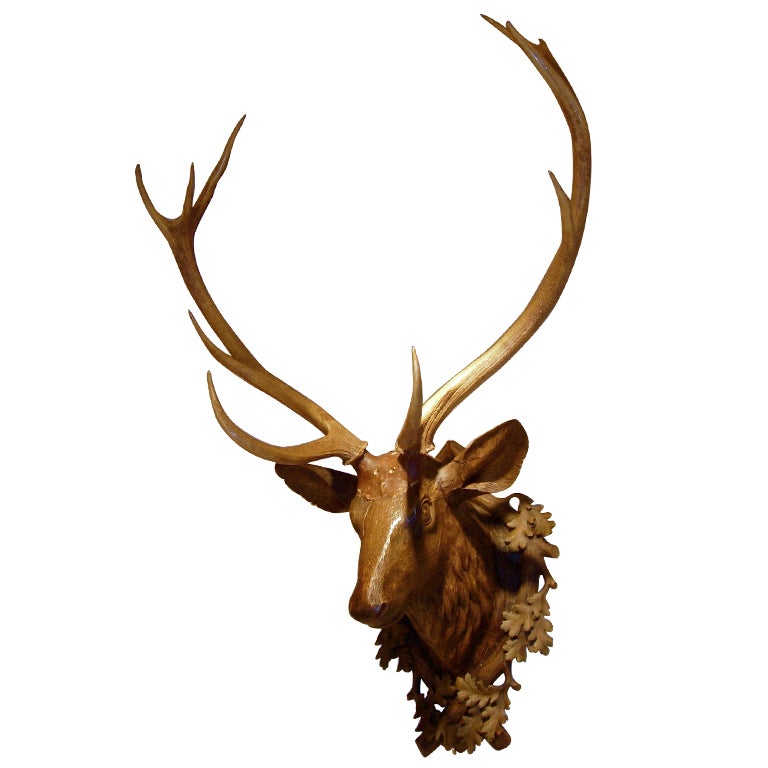 Exceptional Black Forest Carved Wood Deer Head With Antler Mount