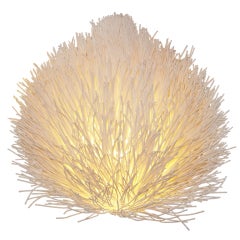 Organic Reed Accent Lamp 10