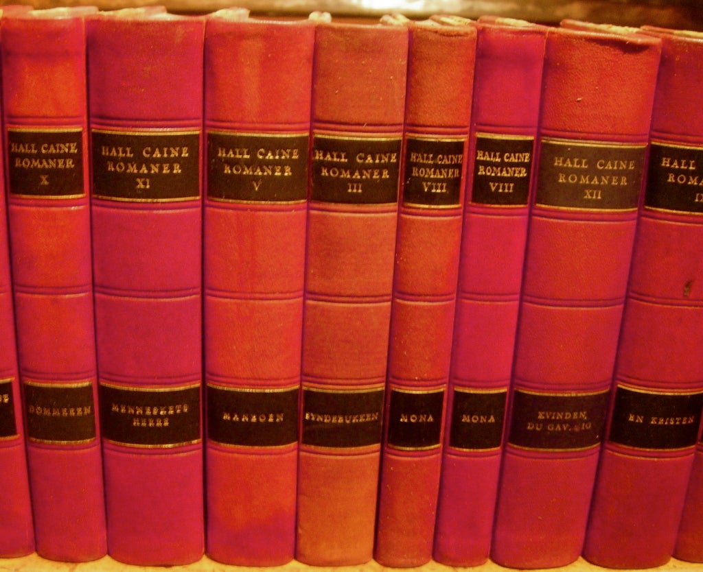 Handsome set of 18 leather bound books.