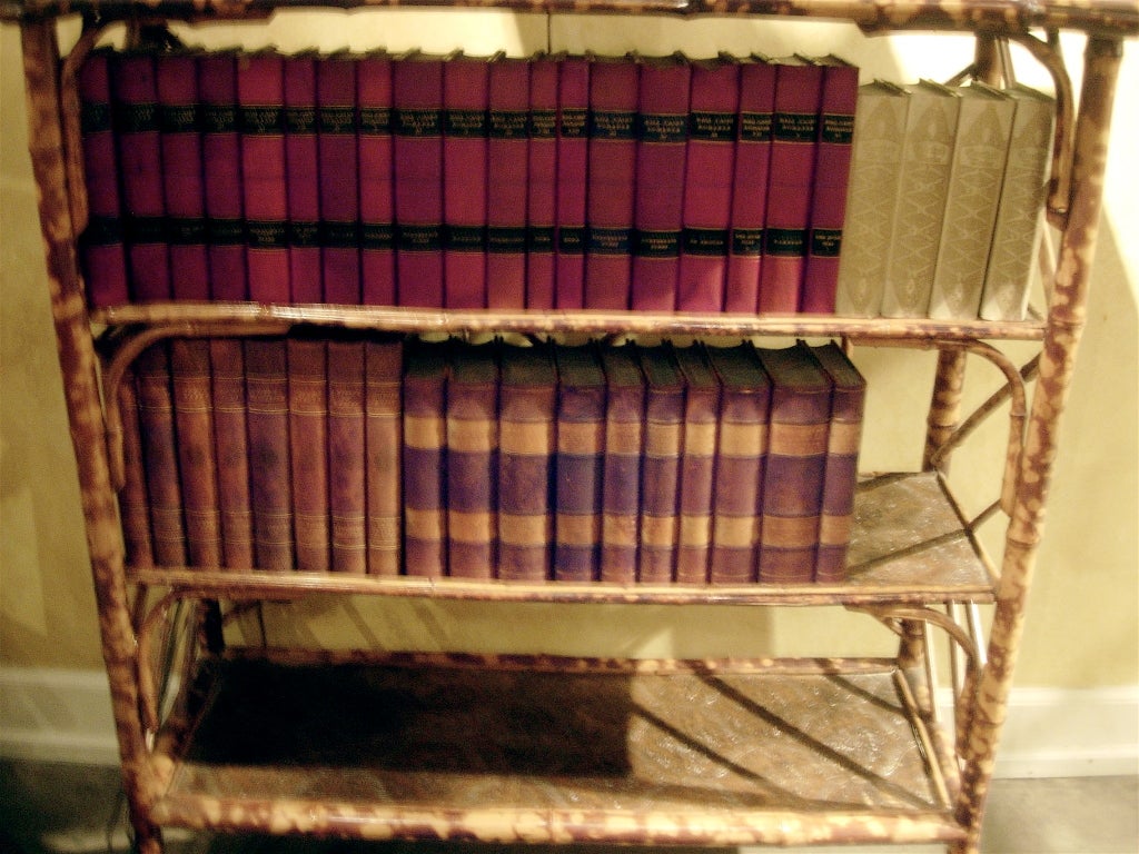 European Set of Ten 19th Century Leather Bound Books