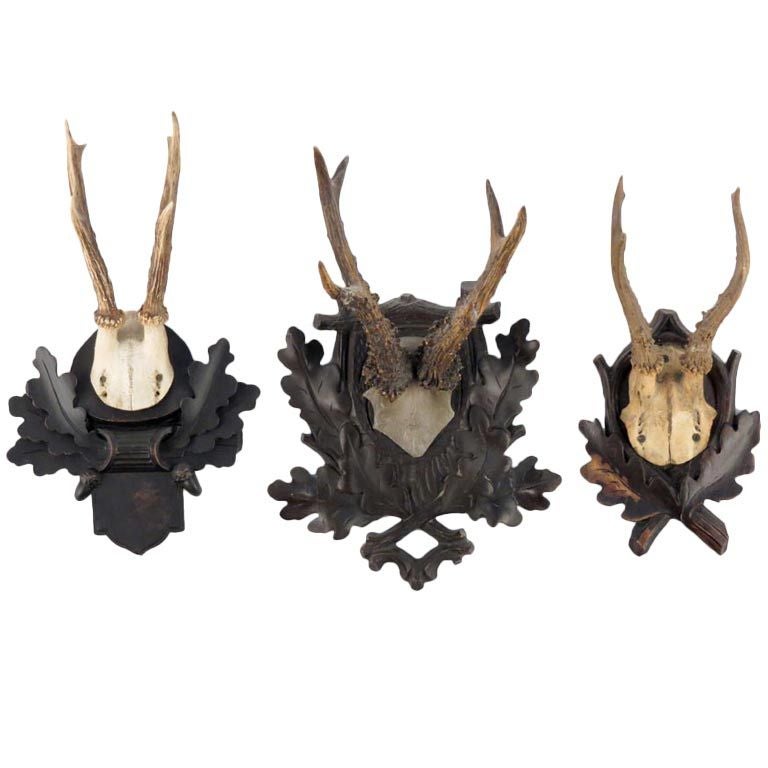 Three Black Forrest Antler Mounts