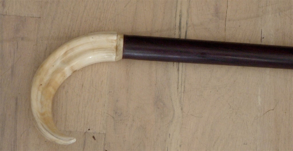 Boar Tusk, Wood and Malachite Walking Stick