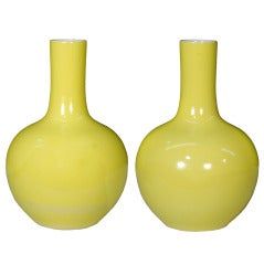 Pair of Chinese Citron Bottle Vases