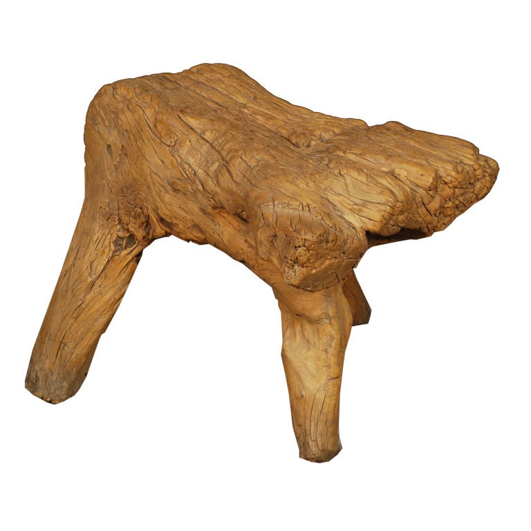 Early 19th Century Chinese Scholars' Root Stool