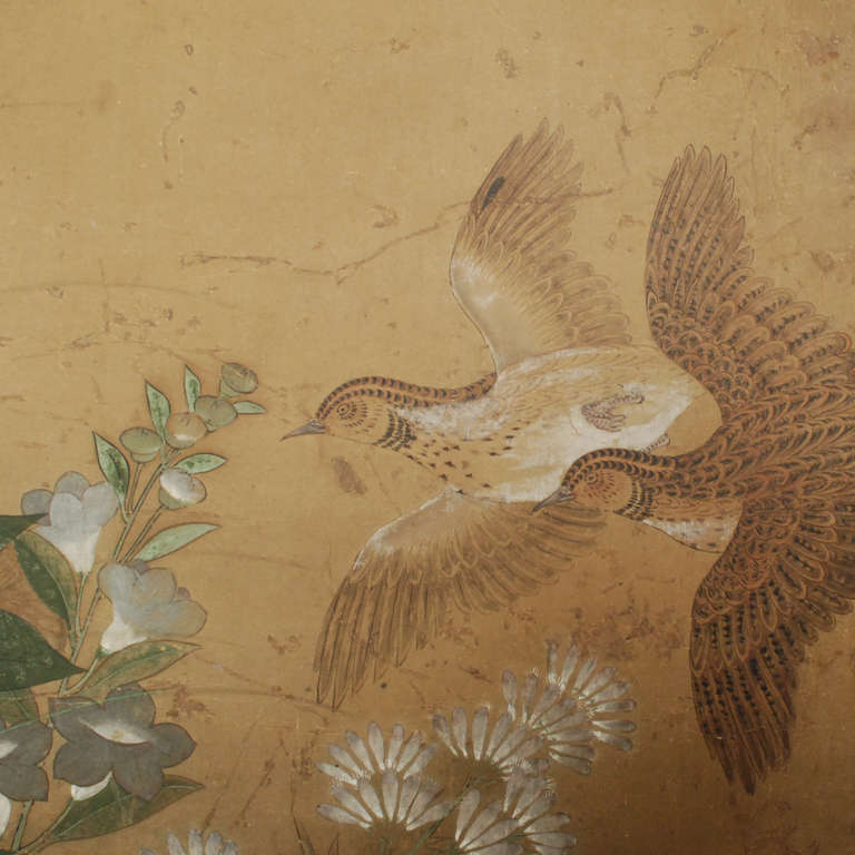 18th Century and Earlier Early 17th Century Japanese Rinpa School Screen with Birds and Flowers