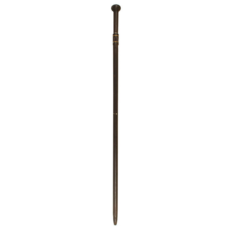 19th Century Chinese Walking Stick and Sword