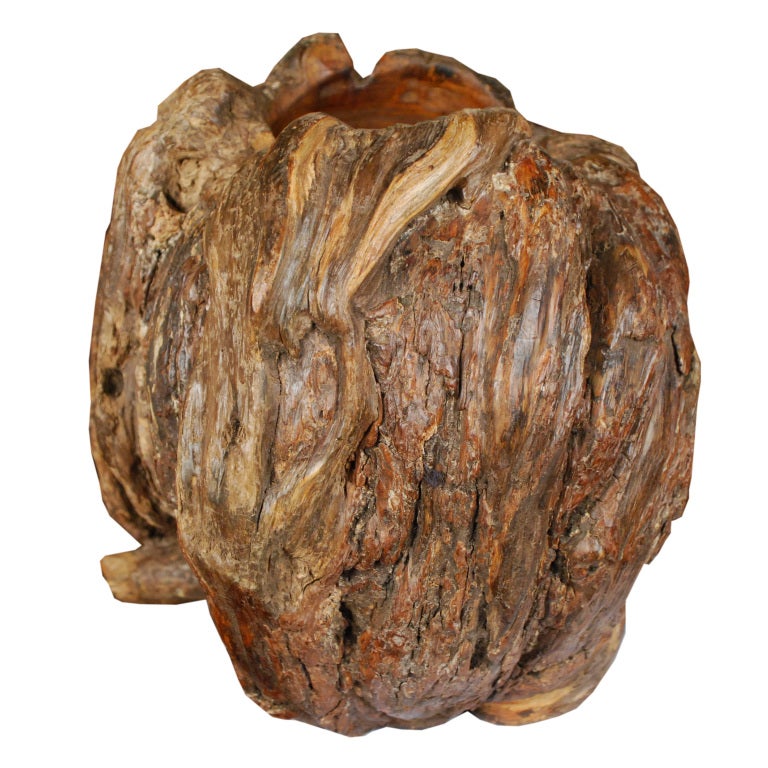 20th Century Chinese Burled Pine Brush Pot