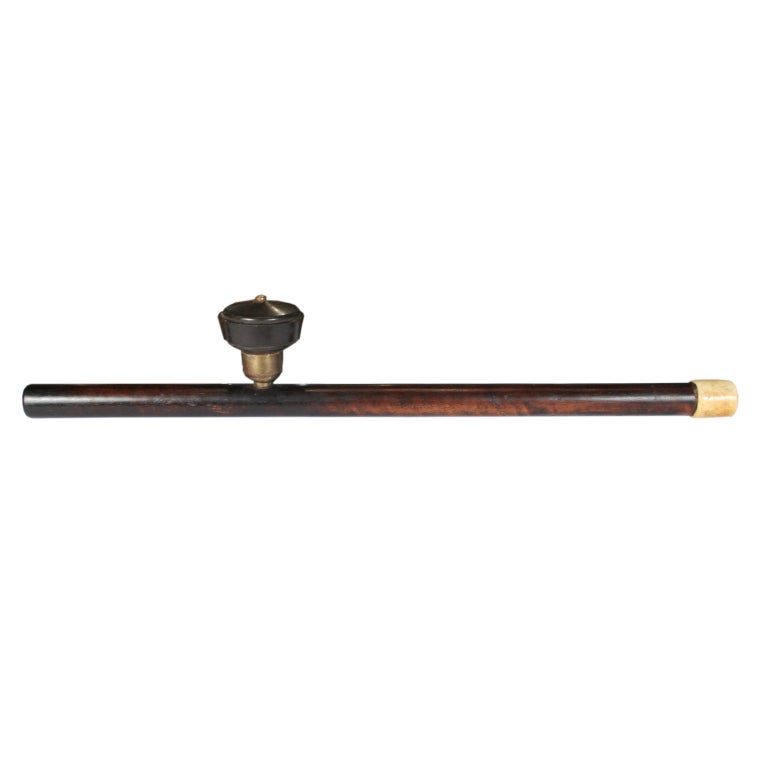 A 19th century Chinese rosewood opium pipe with ceramic bowl and carved bone mouthpiece.  
