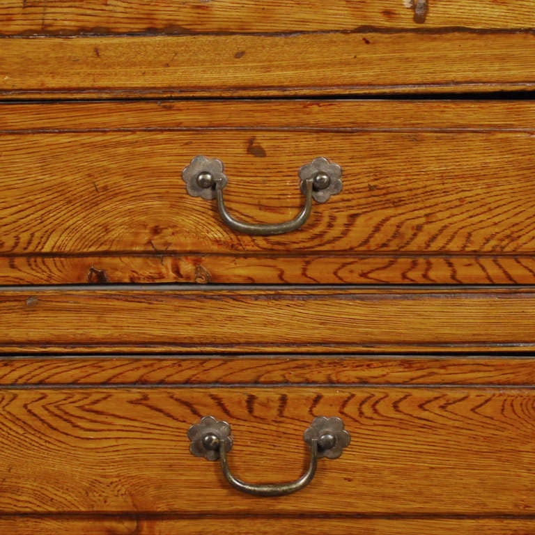 19th Century Chinese Apothecary Chest 1