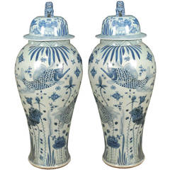 Pair of Monumental Blue and White Fish Jars