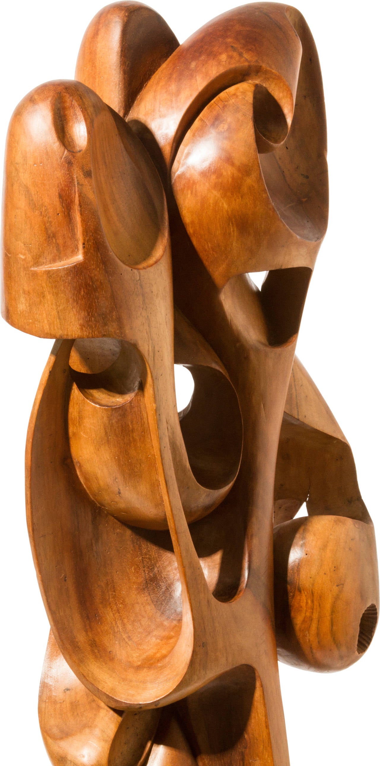 Hand-Carved Tall Biomorphic Carved Wood Sculpture