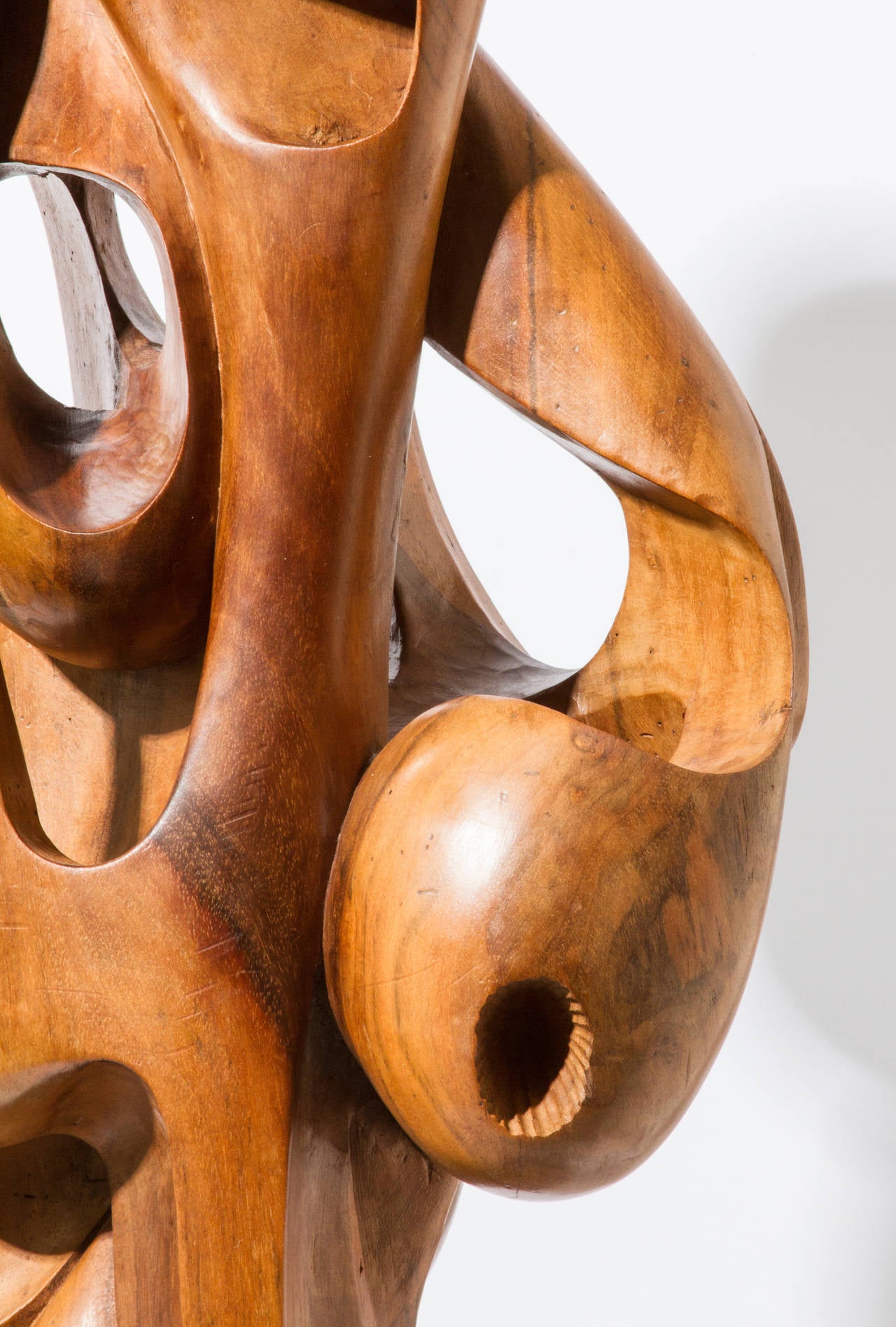 Late 20th Century Tall Biomorphic Carved Wood Sculpture