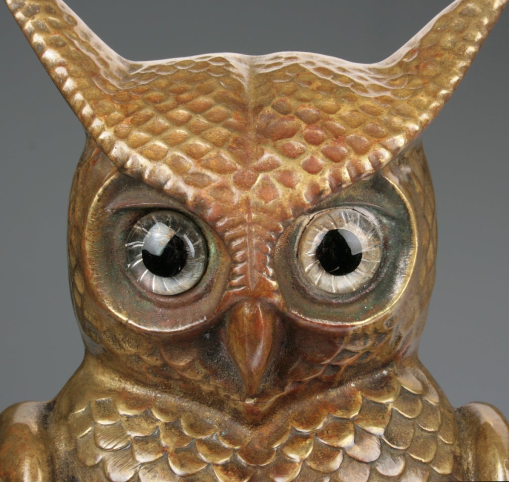 American Fabulous Pair of  Bronze Owl Andirons