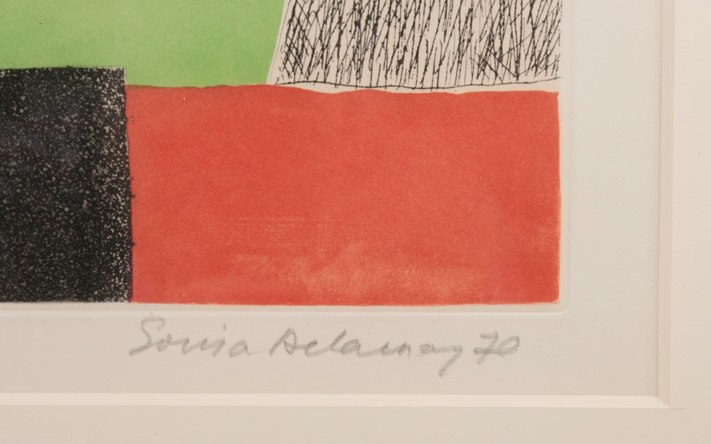 Geometric Sonia  Delaunay 1