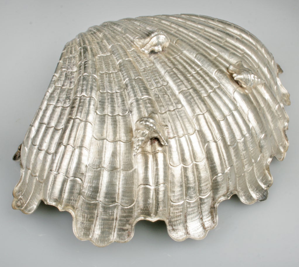 Large Portuguese Silver Shell  Serving Bowl by David Ferreira 3