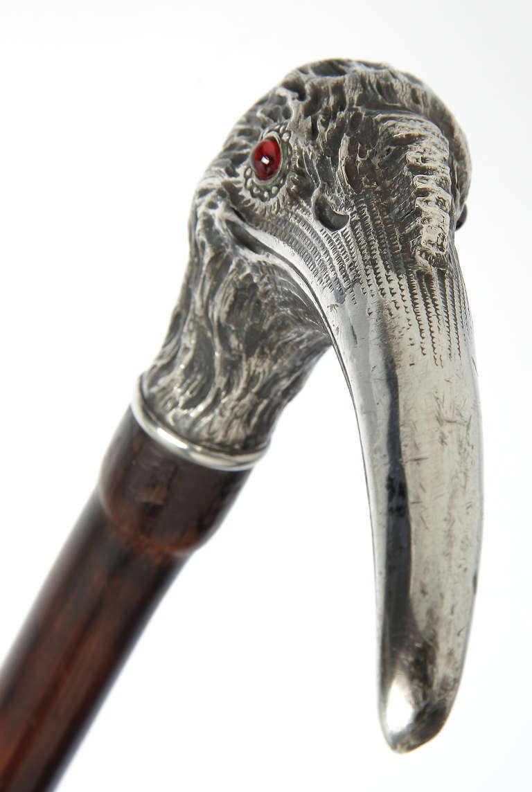 This beautifully crafted cane sports a crook  handle in the shape of a bird's head with a long beak and cabochon garnet inlaid eyes, with a reed shaft, ending in a brass ferrule and a steel tip. The detail on handle is outstanding.