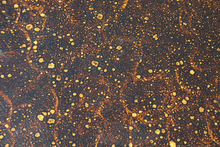 Mid-Century Modern 1960's Tortoise Shell Lacquer Parsons Dining Table With 2 Leaves