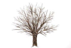 Tree Wall Sculpture by Marc Weinstein 3