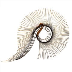 C. Jere Peacock wall Sculpture