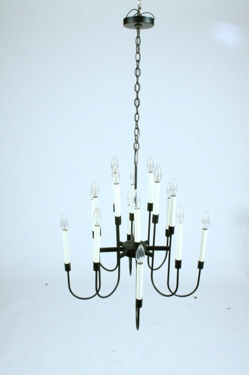 Black enameled light fixture with sixteen arm light fixture made by Lightolier, original enamel in excellent condition, measures 24