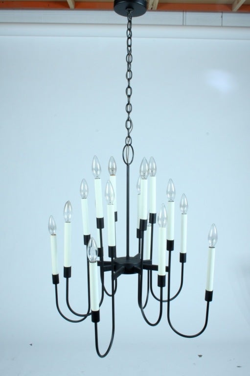 Mid-Century Modern Lightolier Black Enamel Sixteen-Light Mid-Century Light Fixture For Sale