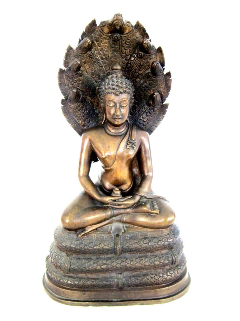 Caste Bronze seated Buddha protected by seven Nagas.  This Buddha was collected by A New York Firm of Engineers  Sent to Thailand to help build bridges and roads.