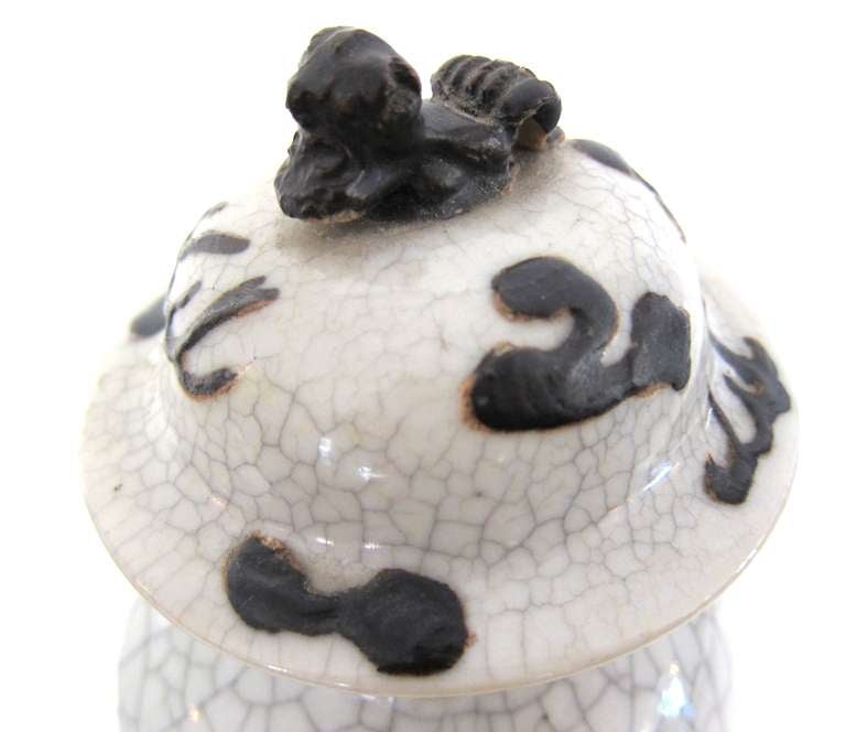 Ceramic Pair of Qing Dyansty Chinese Crackle Glazed Dragon Vases with Lids