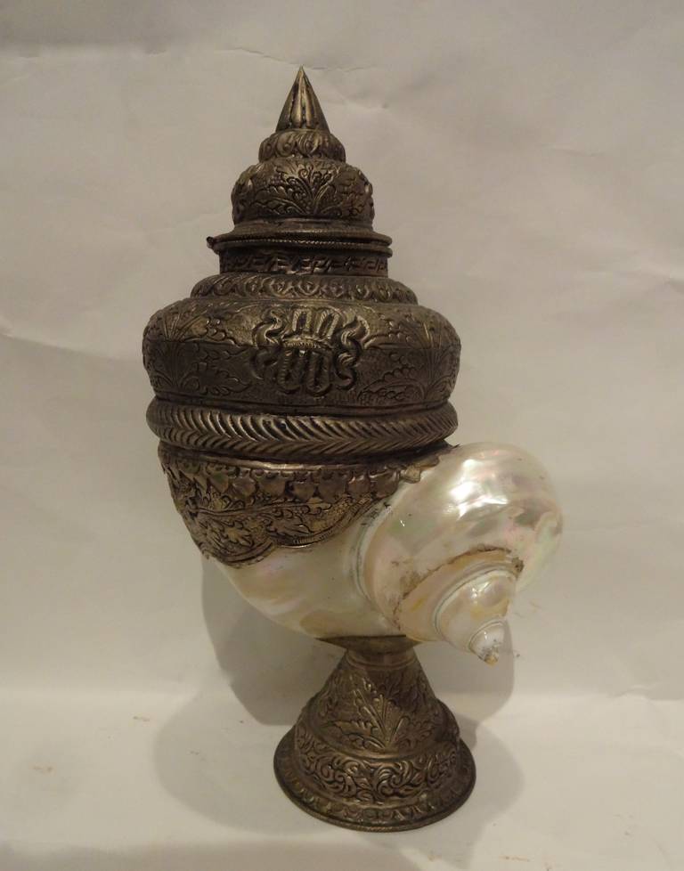 Nautilus Shell Cup Candleholder