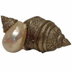 Nautilus Shell Cup Candleholder