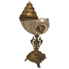 Nautilus Shell Cup Candleholder